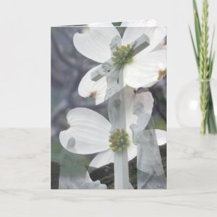 Cartão Dogwood Greetings