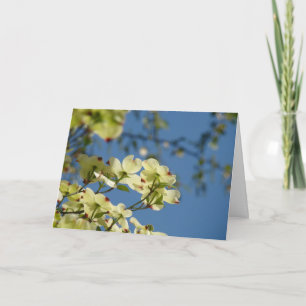 Cartão Dogwood Tree Flowers Greeting Cards Blue Sky