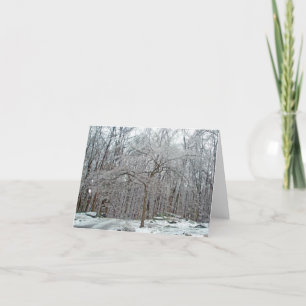 Cartão Dogwood Tree in Winter Ice Note Card