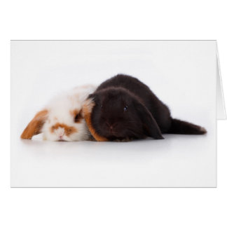 Cartão Dois belos coelhinhos