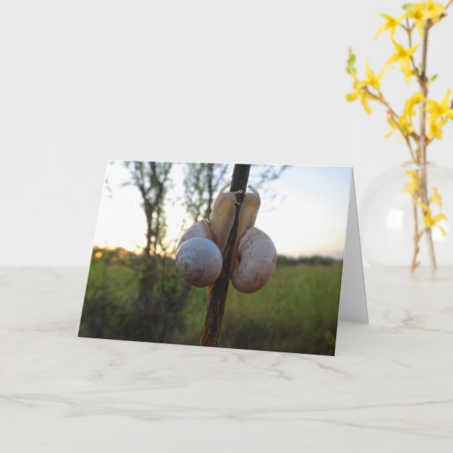 Cartão Dois caracóis em um tronco (Flor Amarela)