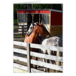 Cartão Dois cavalos no amor