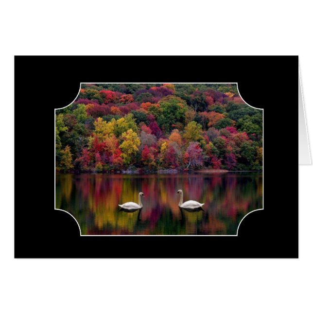 Cartão Dois Cisnes (Frente Horizontal)