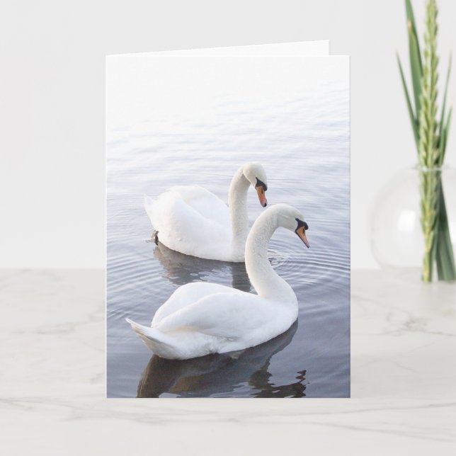 Cartão Dois Cisnes Nadando no Lago Tranquilo (Frente)