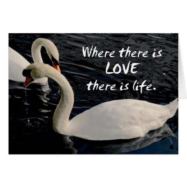 Cartão Dois cisnes no lago (Frente Horizontal)