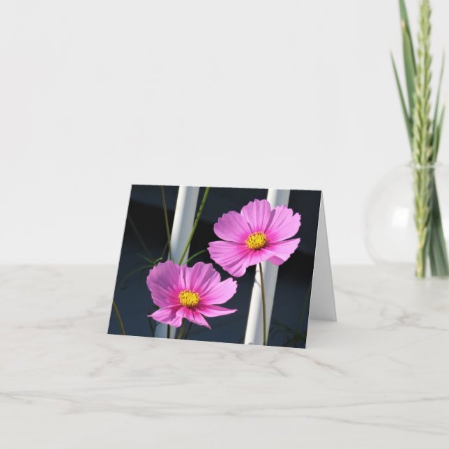 Cartão Dois Cosmos Rosa através da Trilha (Frente)