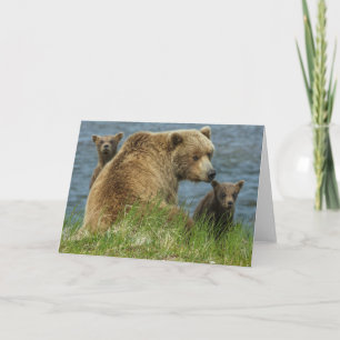Cartão Dois Cubos de Urso Marrom com a Mãe na Água