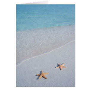 Cartão Dois de nós Ocean Love Starfish