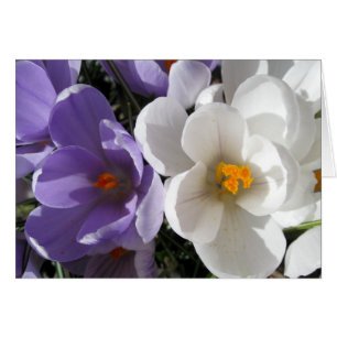 Cartão Dois de um tipo