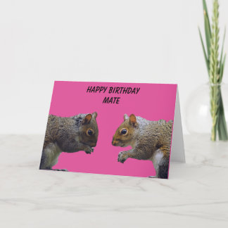 Cartão Dois Esquilos Feliz Aniversário