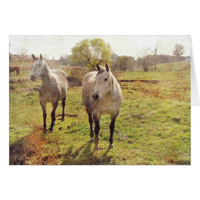 Cartão Dois Grays (Frente Horizontal)