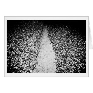 Cartão dois lados do cacau