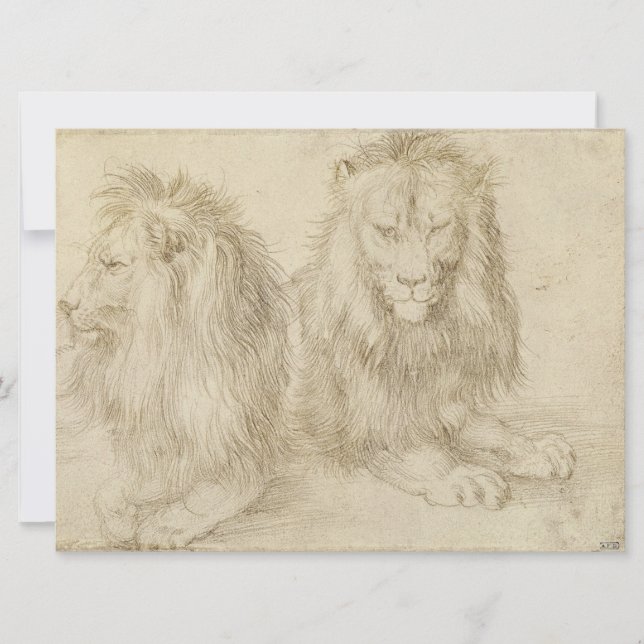Cartão Dois Leões Sentados (Animais Selvagens) (Albrecht  (Frente)