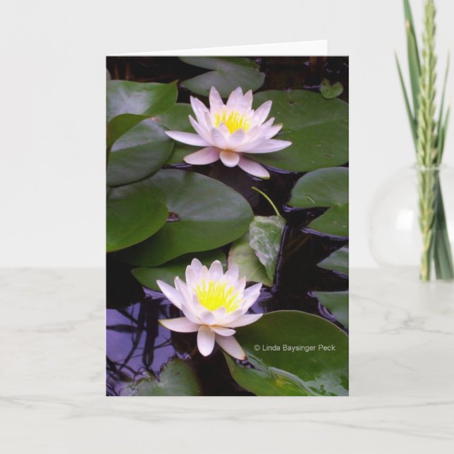 Cartão Dois lírios de água clara (Frente)