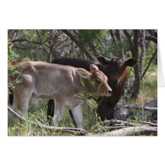 Cartão Dois Novos Bebês na Fazenda