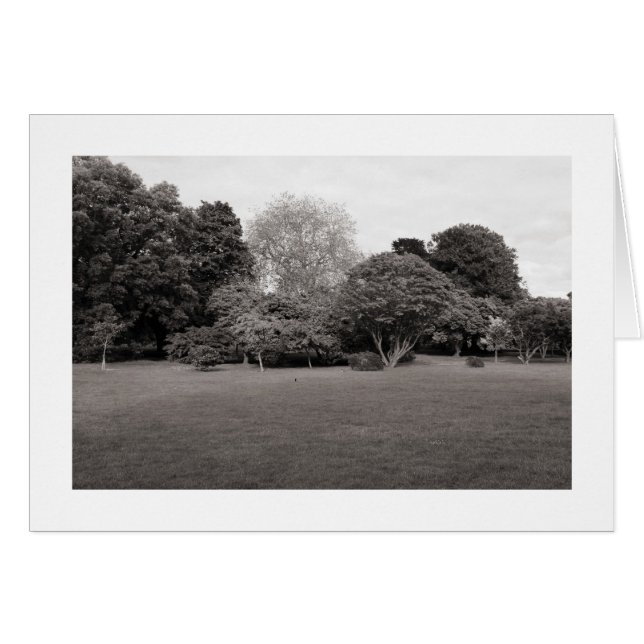 Cartão Dois para a alegria (quente toned BW bordado) (Frente Horizontal)