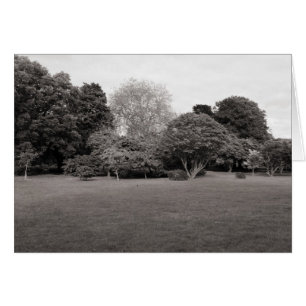 Cartão Dois para a alegria (Toned BW quente)