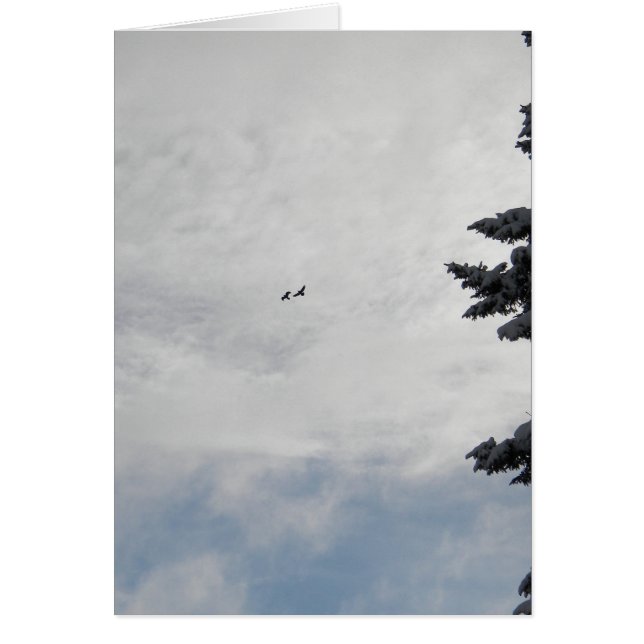 Cartão Dois pássaros que voam altamente (Frente)