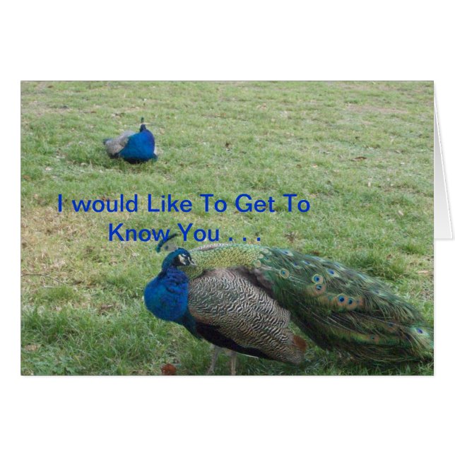 CARTÃO DOIS PAVÕES BONITOS (Frente Horizontal)