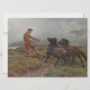 Cartão Dois Pôs Shetland numa Paisagem Escocitária Mistur