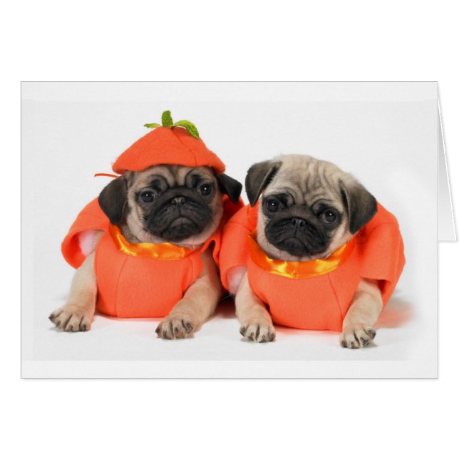 Cartão Dois Pugs (Frente Horizontal)