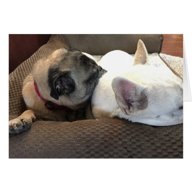 Cartão Dois são melhores que um. (Frente Horizontal)