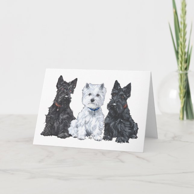 Cartão Dois Scotties e um Westie (Frente)