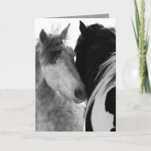 Dois Stallions Wilse Horse Greeting Card