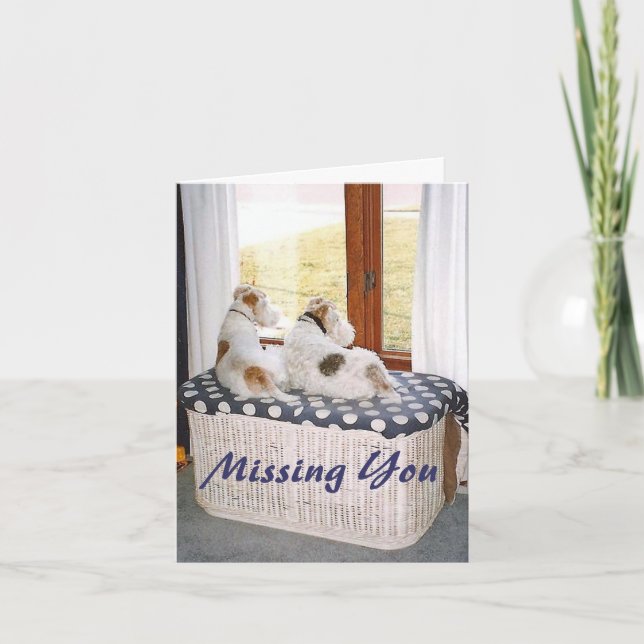 Cartão Dois terrier de Fox do fio na janela (Frente)