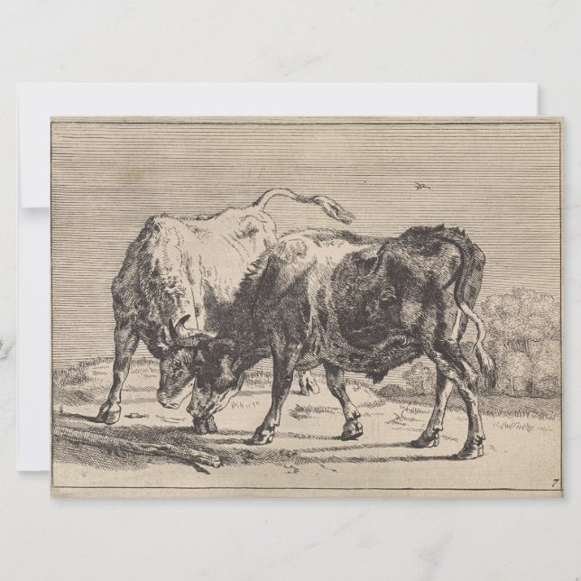 Cartão Dois Touro Lutando (por Paulus Potter) (Frente)