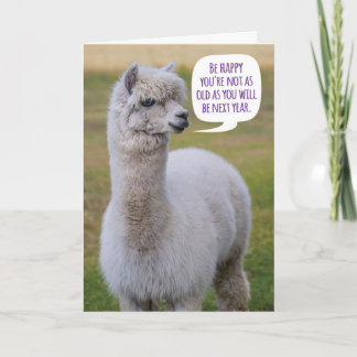 Cartão Dolly Llama Aniversário da Sabedoria