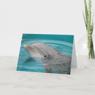 Cartão Dolphin Friend Hello