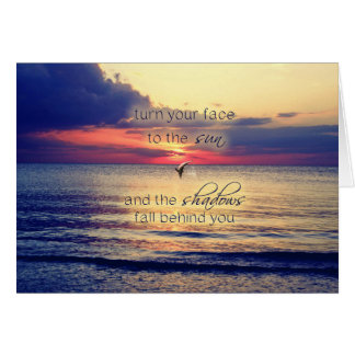 Cartão Dolphin Sunset