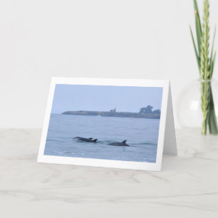 Cartão Dolphins at The Lighthouse-Blank Greeting Card