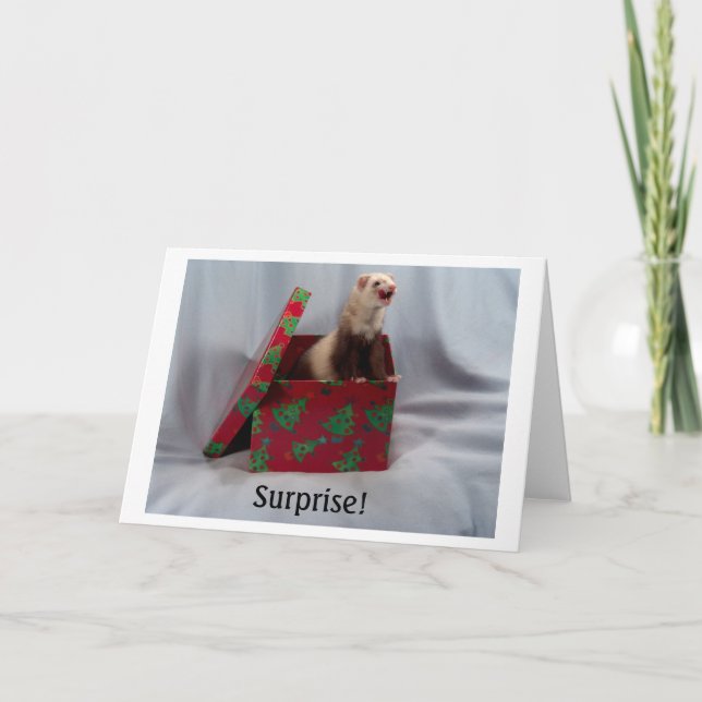 Cartão Doninha em uma caixa Notecards (Frente)