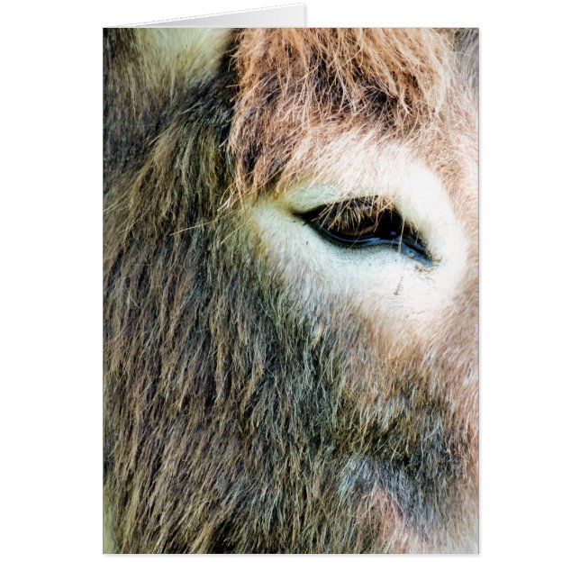 CARTÃO DONKEY (Frente)