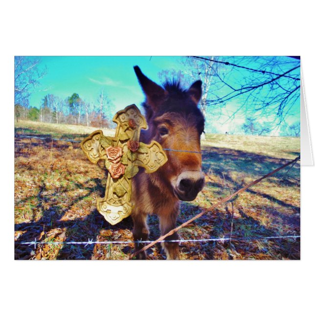 Cartão Donkey com Rosa Cross (Frente Horizontal)