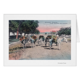 Cartão Donkeys carregados na rua Las Vegas, NM