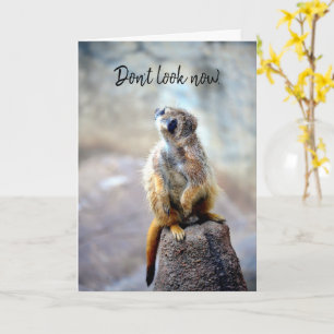 Cartão Don't look now - Birthday Card
