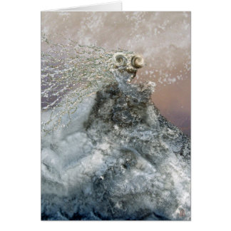 Cartão Donzela Enchanted do gelo