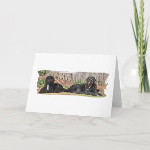 Cartão Doodle greeting card