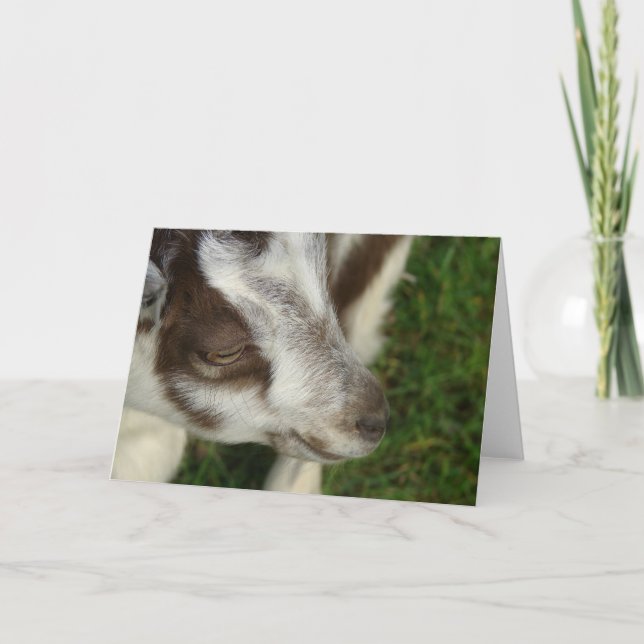 Cartão Dopey (Frente)