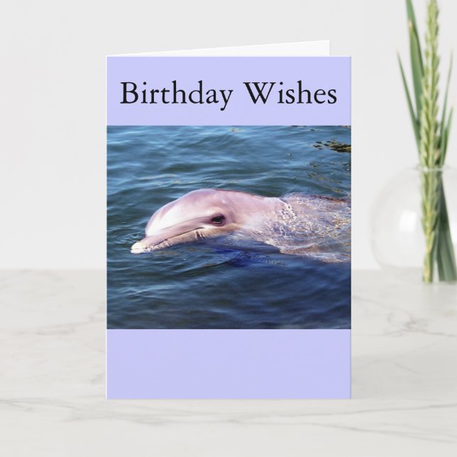 Cartão Dophin selvagem (Frente)