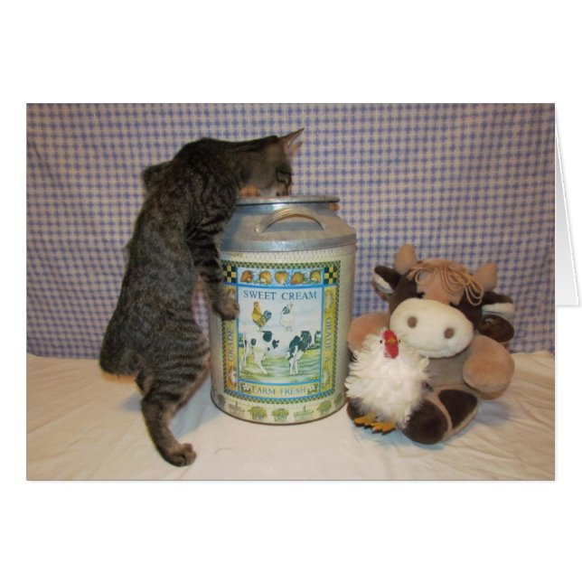 Cartão Dora - a nata das natas (Frente Horizontal)