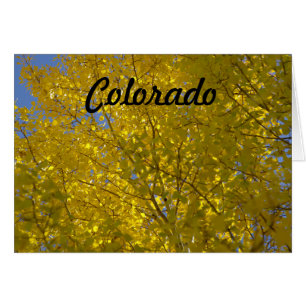 Cartão dos álamos tremedores