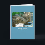 Cartão dos amigos das vitelas dos alces dos botões<br><div class="desc">Um cartão do aniversário para um melhor amigo (os melhores botões) que caracteriza um par de alces paire bebendo de uma vasilha de barro. Cortesia da foto de Magnus Rosendahl. Você pode adicionar sua própria foto ao interior, ou adicione to/change o cumprimento interno gratuitamente; apenas clique sobre "personalizam" então "adicionam...</div>