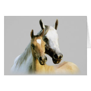 Cartão dos amigos do cavalo