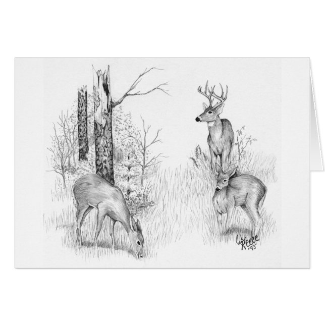 Cartão dos cervos de Whitetail (Frente Horizontal)