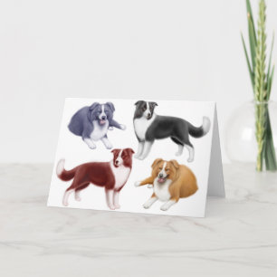 Cartão dos Collies de beira