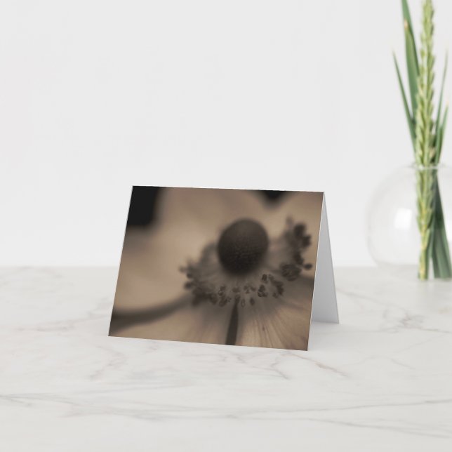 Cartão dos cumprimentos & de nota da anêmona do (Frente)